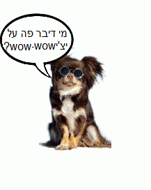 יציwow-wow מוטוריקל כלב צ'יוואווה, עם בלון דיבור של "מי דיבר פה על יצי-wow-wow?)