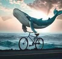 לימוד-אופניים-ברמות-הנאה-של-whale.jpg